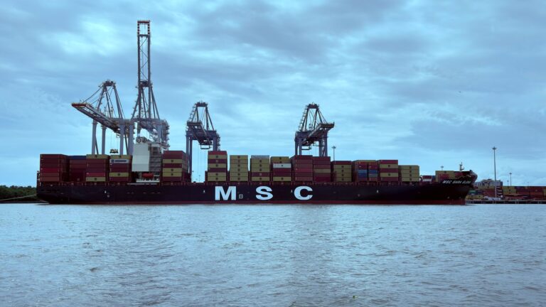 Cochin Shipyard shares fall